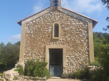 Trail Walking Corbières-en-Provence - 06-06-2023 Trou du loup - Photo