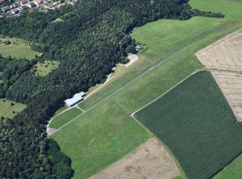 Tour Zu Fuß Mosbach - Rundwanderweg Mosbach 6: Hamberg-Weg - Photo