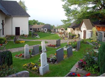 Percorso A piedi Deutschlandsberg - Ruhri-Panoramaweg - Photo