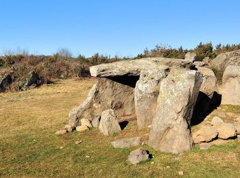 Tour Wandern Cournols - Cournols_Pierres_Levees - Photo