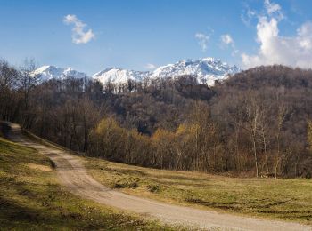 Trail On foot Recoaro Terme - Anello Ecoturistico Piccole Dolomiti 005 - Photo