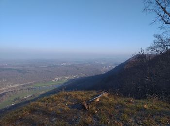 Trail Walking Ougney-Douvot - ougney la Roche (douvot) - Photo