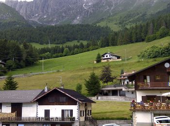 Tour Zu Fuß Castione della Presolana - CAI319: Passo della Presolana - Colle della Presolana - Malga della Presolana - Photo