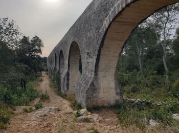 Excursión Senderismo Castries - aqueduc Castries 2 - Photo