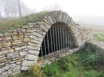 Tour Wandern Cuzance - Cuzance chemin des fontaines  - Photo