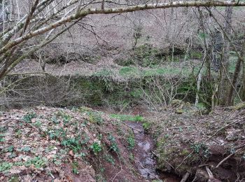 Trail Walking Champagney - Champagney - canal de la Haute-Saône - tunnel - Photo