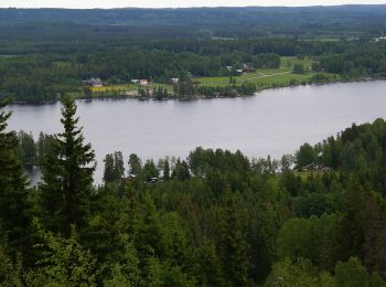 Trail On foot  - Lunedsleden - Photo