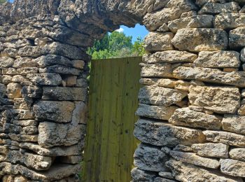 Tour Wandern Gordes - 3024-05-22 Gordes- Debroussede - Basse Pourraque - Photo