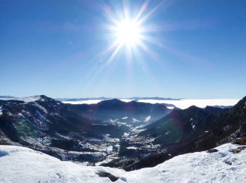 Tour Schneeschuhwandern Léoncel - echaillon cretes - Photo