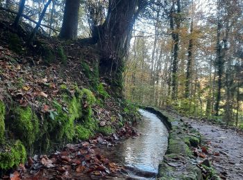 Tocht Stappen Echternach - mullerthal e1 - Photo