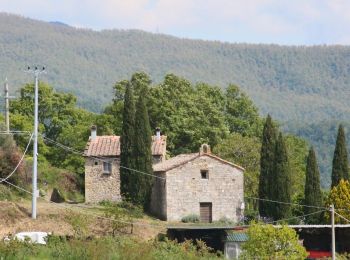 Tocht Te voet Pomarance - La Serra-Villa di Monterufoli - Photo