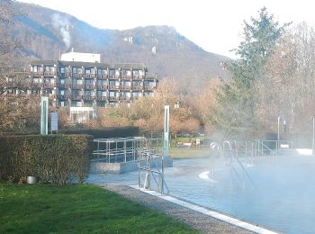 Excursión A pie Bad Urach - Bad Urach Gütersteiner Wasserfälle - Photo