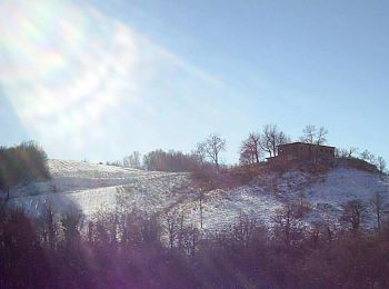 Randonnée A pied Vezzano sul Crostolo - Vezzano sul Crostolo - Pecorile - Casola Canossa - Vezzano sul Crostolo - Photo