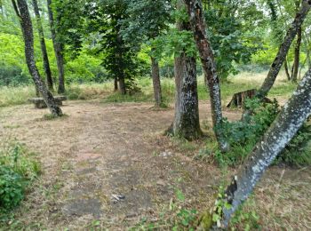 Tocht Stappen Marolles - Marolles - Site naturel et archéologique de la Grande Pierre et Vitain - Photo