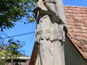 Percorso A piedi Alsópetény - S■ (Alsópetény - Kő-hegy) - Photo