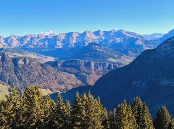 Tour Wandern Fillière - LES AUGES - Photo