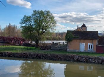 Trail Walking Courlon-sur-Yonne - Courlon 240319 - Photo