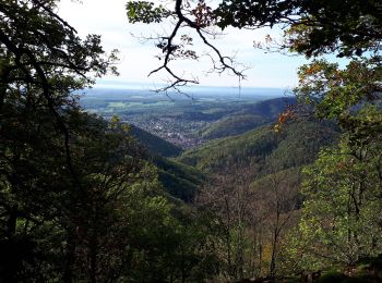Trail Walking Steinbach - silberthal.mockenrein.mines.silberthal - Photo