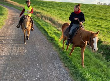 Trail Horseback riding Saint-Martin - Ar Reherey avec Vispa Tivio chez Marion satis  - Photo