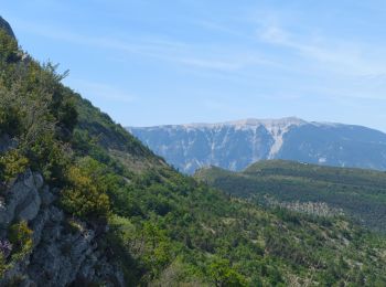 Tour Wandern Le Poët-en-Percip - Banne & Bohémienne - Photo