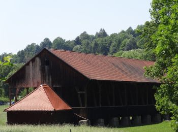 Tour Zu Fuß Bad Sulza - Weinwanderweg Bad Sulza - Photo