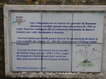 Randonnée A pied Bures-sur-Yvette - FR-9 - Photo
