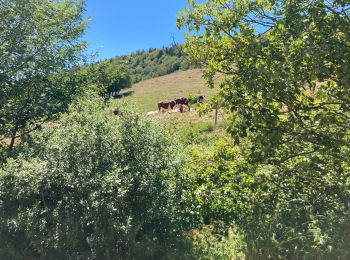 Tour Wandern Arvière-en-Valromey - Colombier - Photo