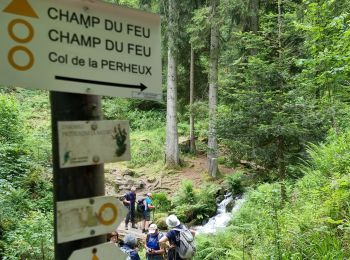 Randonnée Marche Wildersbach - ARCA LA PERHEUX - Photo