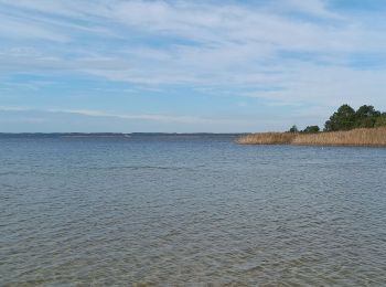 Tour Wandern Sanguinet - Marche lac de sanguinet - Photo