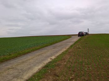 Tocht Te voet Obernburg am Main - Rundwanderweg Waldhäuser WH3 : 3-Waldhäuser-Weg - Photo