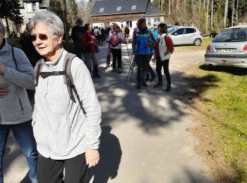 Randonnée Marche Rosiers-d'Égletons - verrieres - Photo