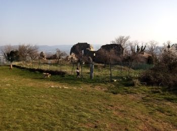 Tour Wandern Rompon - Le couvent des chèvres par le vieux Rompon - Photo