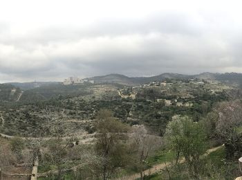 Percorso A piedi  - סובב הר איתן - Photo