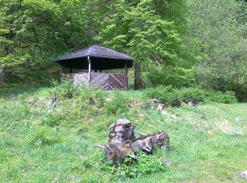 Percorso A piedi Harz (Landkreis Göttingen) - Harzklub-Weg 16D - Photo