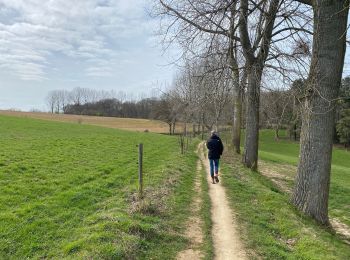 Trail Walking Huldenberg - Gulden erg - Photo