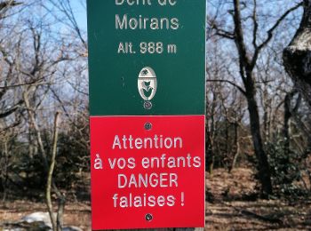 Trail Walking Montaud - dent de mourants 2023 - Photo