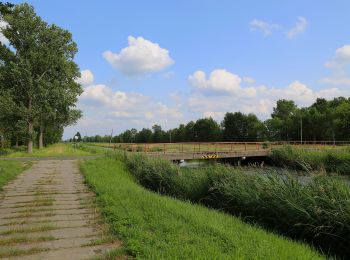 Tocht Te voet Lübben (Spreewald) - Wanderweg Lübben-Lübben/Ost - Eichkanalschleuse - Photo