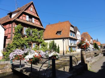 Tocht Te voet Wissembourg - Anneau rouge - Photo