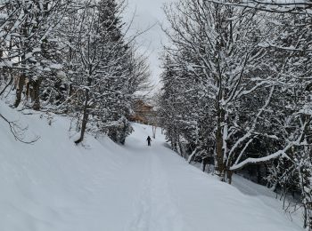 Tocht Sneeuwschoenen Bourg-Saint-Maurice - Le Chantel Arcs 1800 - Photo