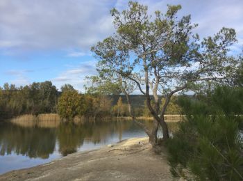 Tocht Stappen Claret - 34 Anciens moulin de Lafous  Embruscalles 19 /11/19 - Photo