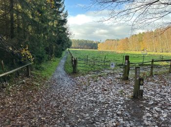 Trail Walking Oud-Heverlee - Zoete Water Meerdael 14,2 km - Photo