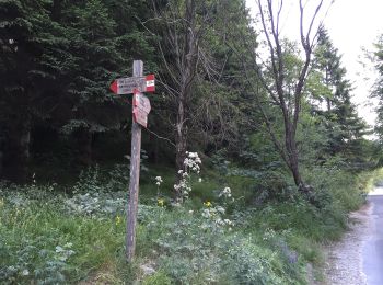 Trail On foot Minucciano - IT-37 - Photo