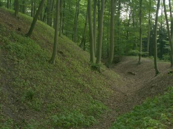 Trail On foot Ołobok - Krzeczkowo-Niesulice - Photo