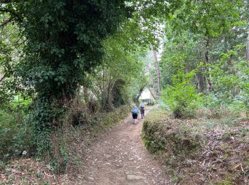 Trail Walking Betanzos - 2024 Camino Ingles 5 - Photo