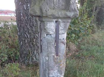 Tour Zu Fuß Neuensorger Forst - Aßlitzweg (Michelau) - Photo