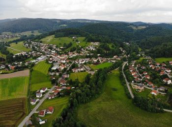 Percorso A piedi Ringelai - Themenwanderweg-Ringelai - Photo