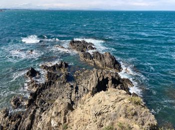 Randonnée Marche Port-Vendres - Port Vendres Collioure sur les hauteurs et la côte  - Photo