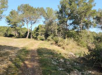 Tour Wandern Buzignargues - G3_Buzignargues - Photo