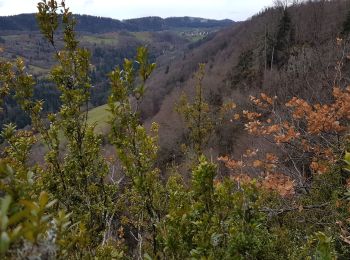 Trail Walking Bellignat - Nierme: Belvedere du Haut Cret - Photo