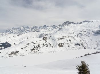 Tocht Sneeuwschoenen Hauteluce - Des Granges d'Hauteluce au lac de la Girotte - Photo